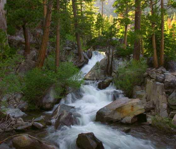 A flowing stream with rock formation amidst tall trees and mountains