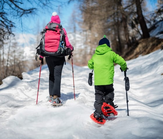 A back shot of a woman and child snowboarding
