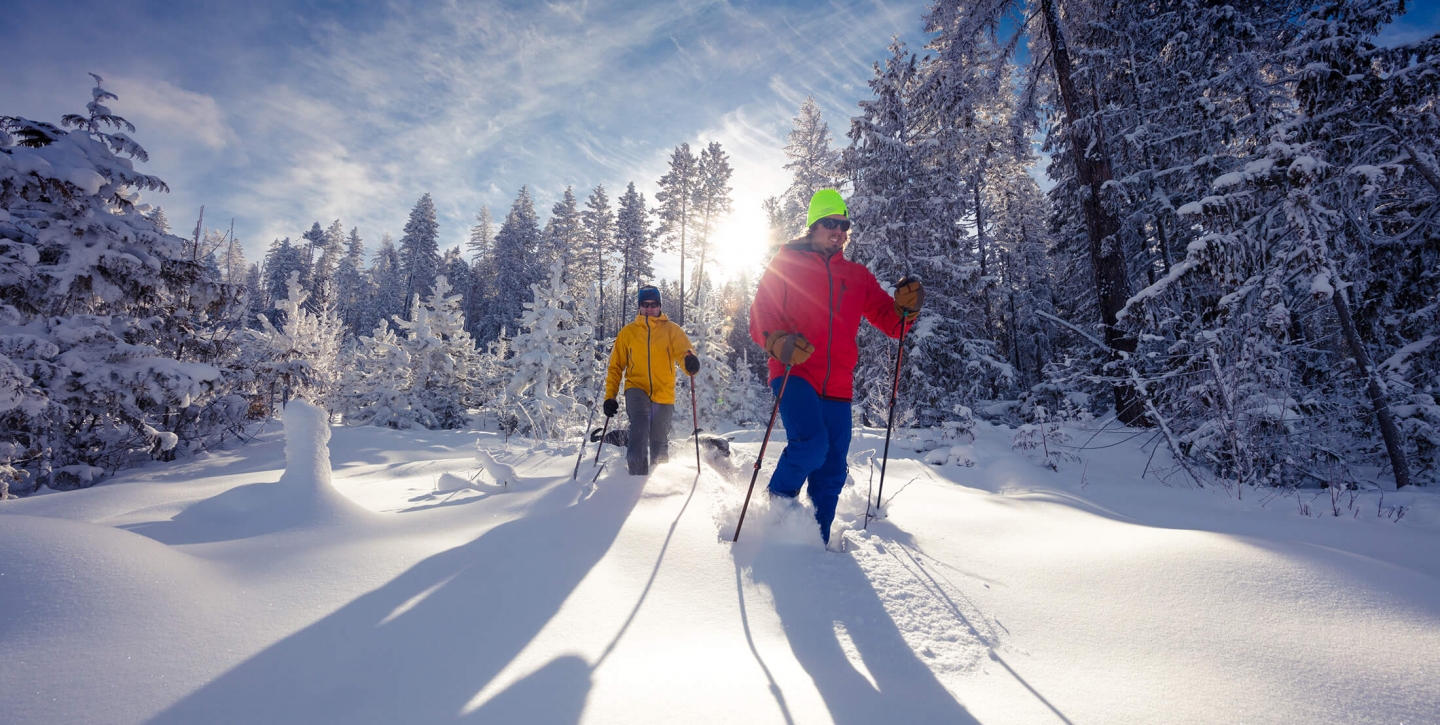 Two men snowboarding in the alps during winter