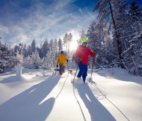 Two men snowboarding in the alps during winter