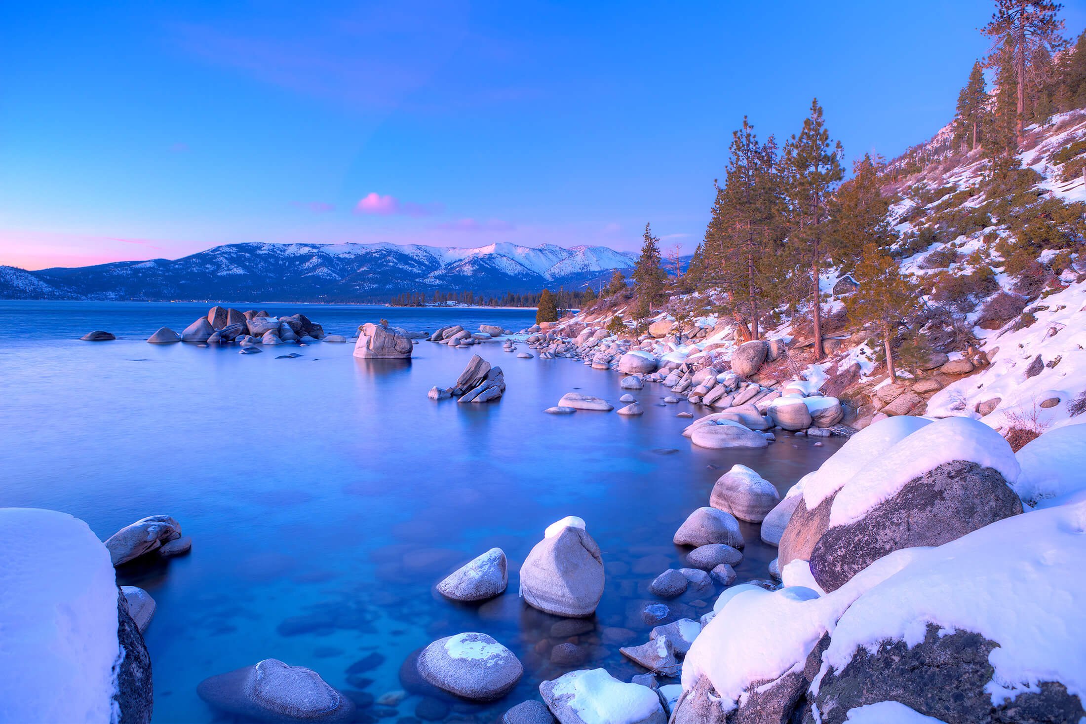 Pine trees near snow-covered boulders next to the water