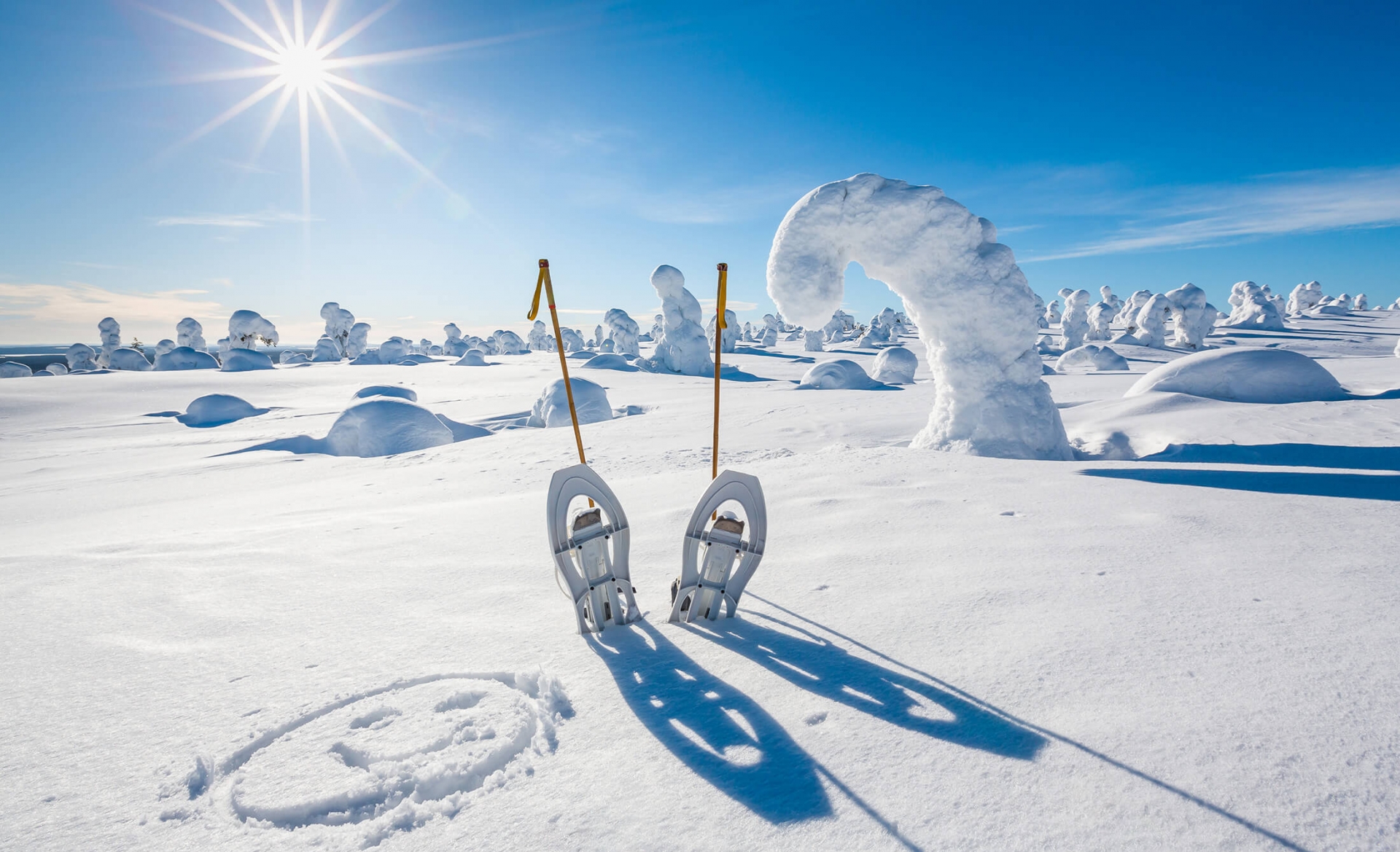 Snowboard and avalanche probe on the snow