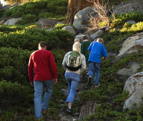 A group hiking on a mountain with lush greenery and rocks