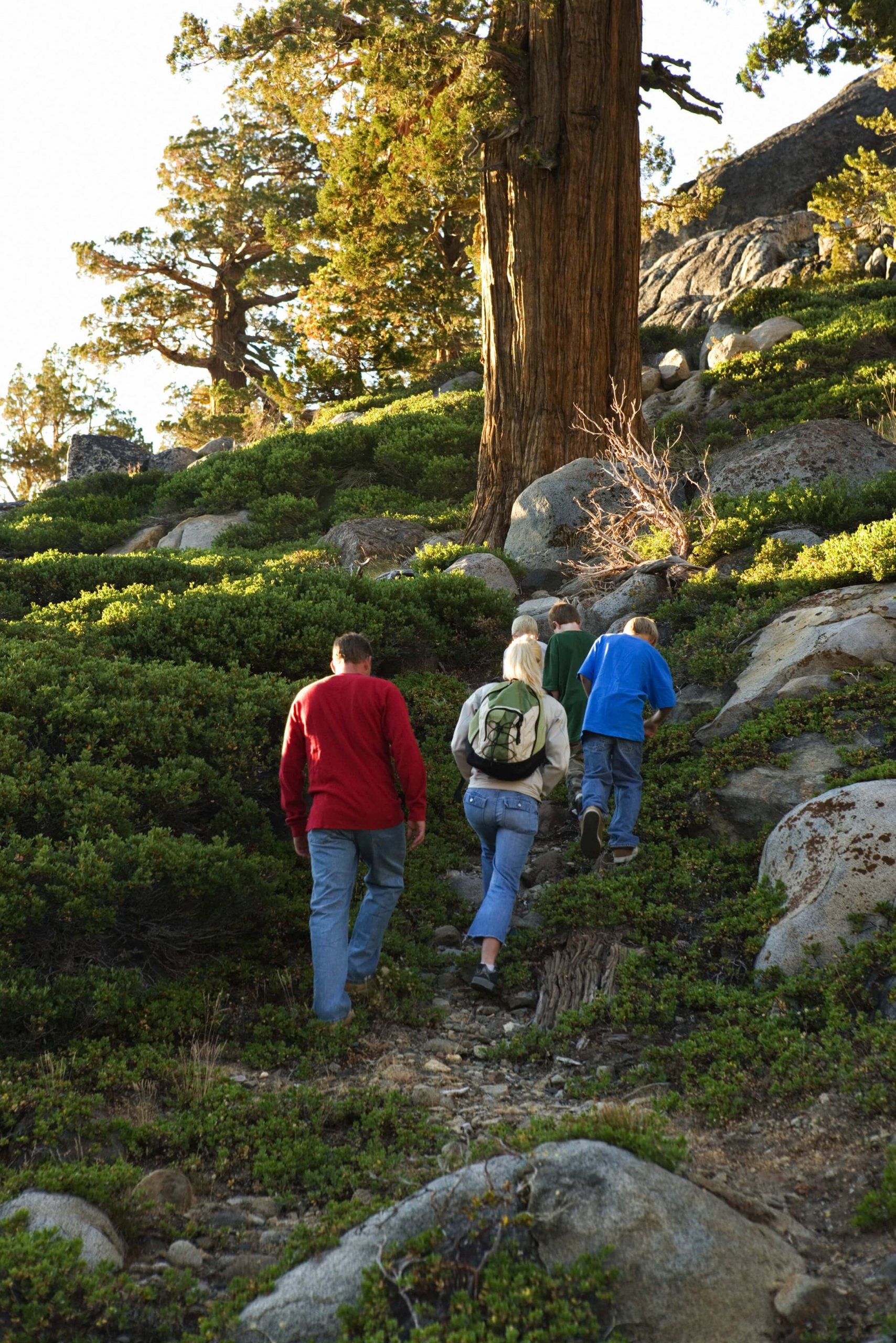 A group hiking on a mountain with lush greenery and rocks
