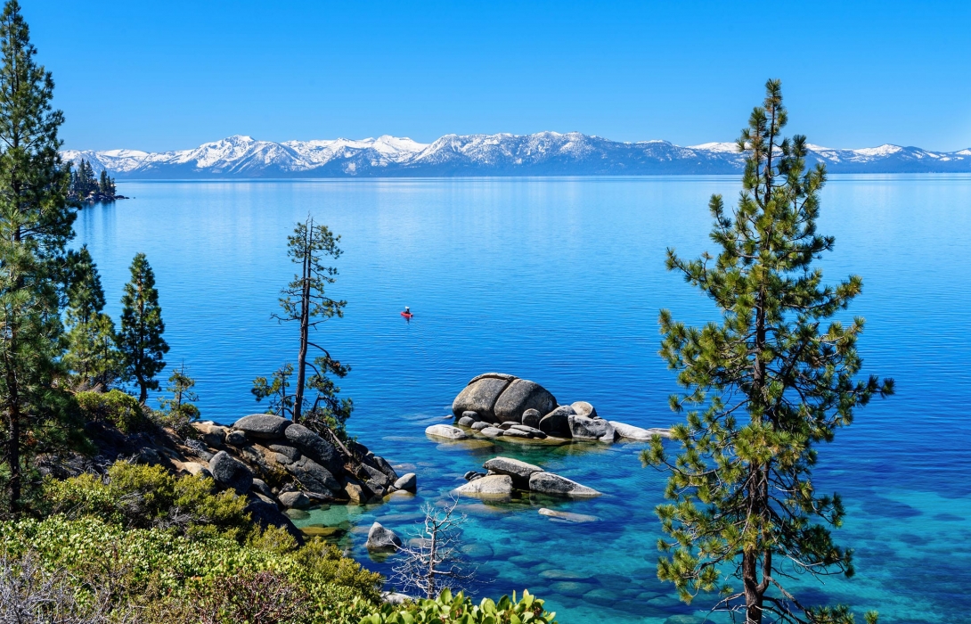 Pine trees next to the blue water and the snow-dusted mountains