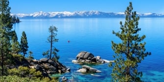 Pine trees next to the blue water and the snow-dusted mountains