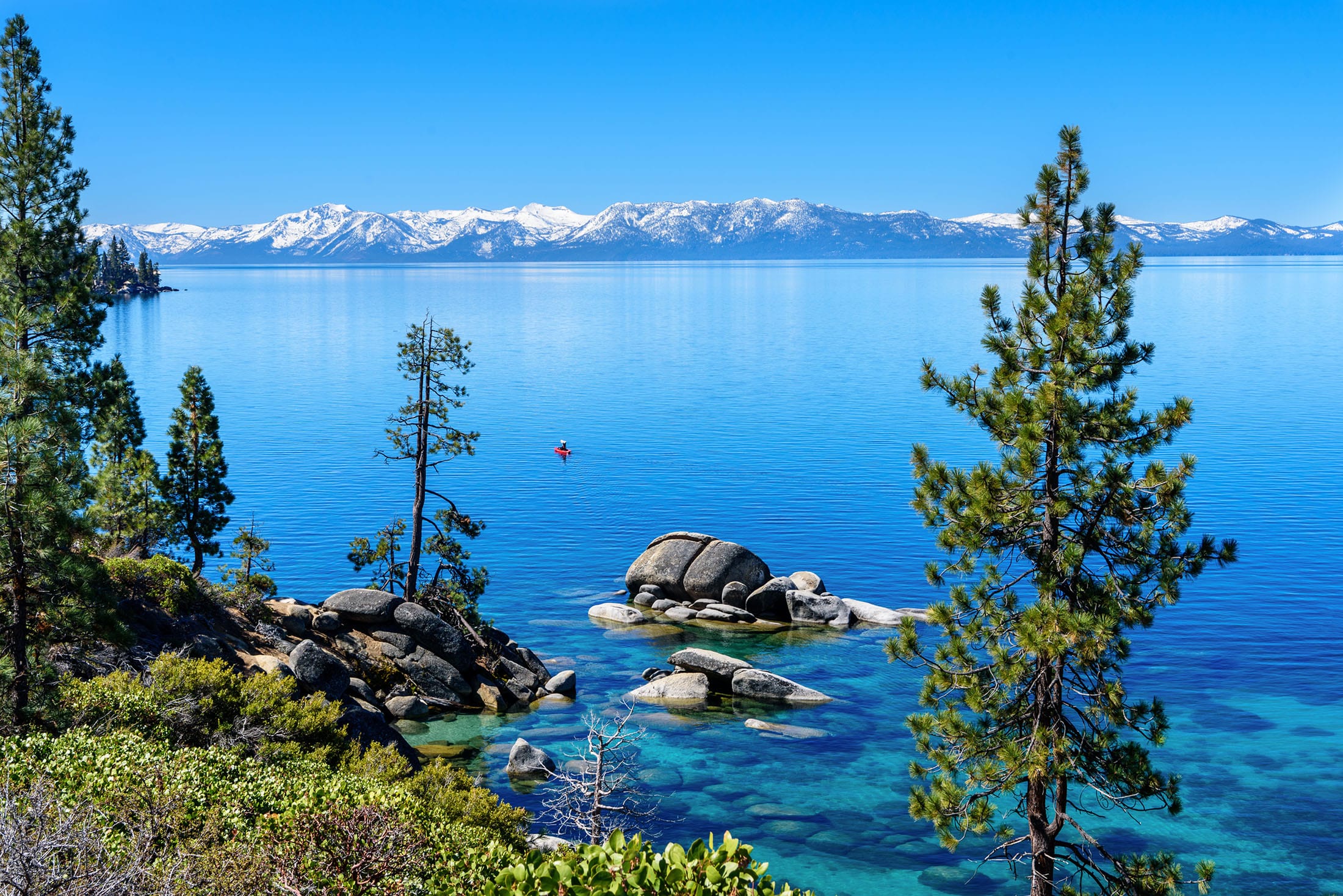 Pine trees next to the blue water and the snow-dusted mountains