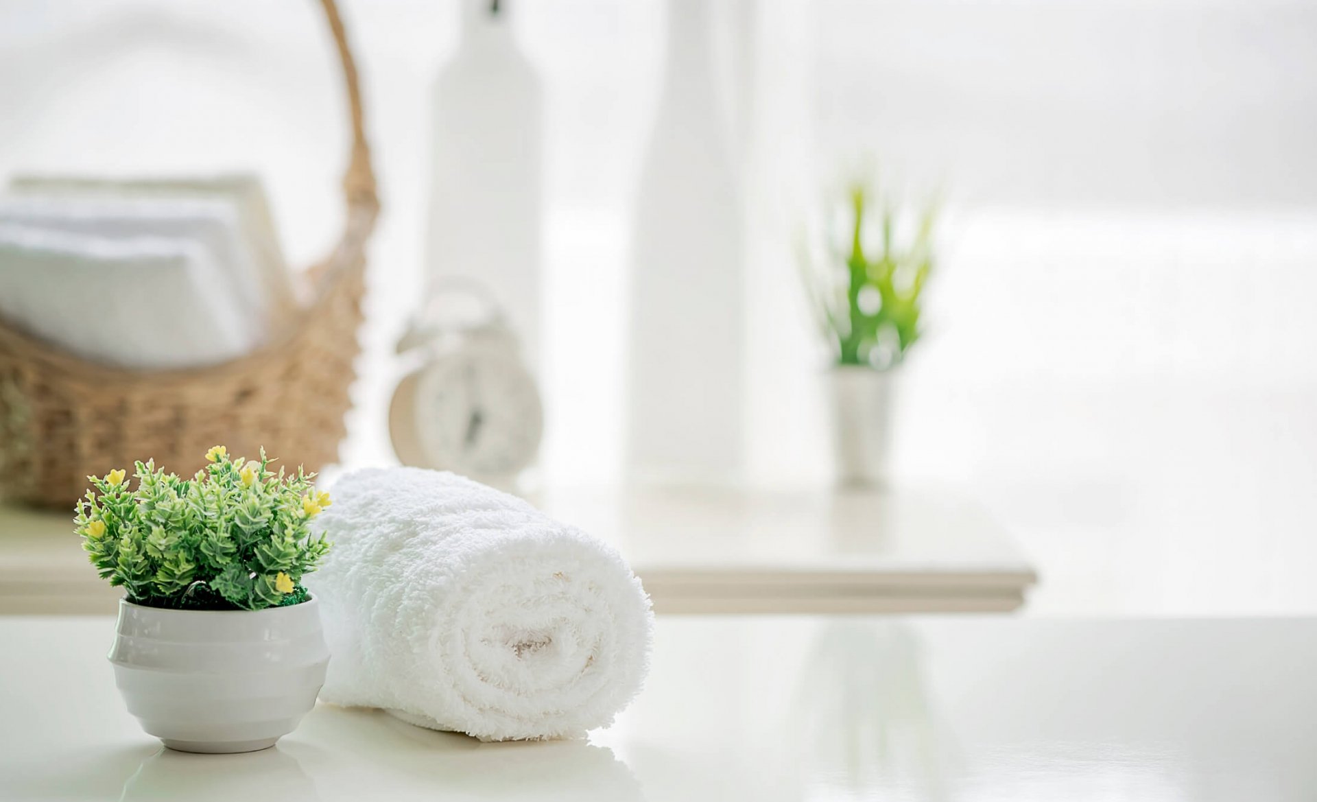 Rolled towel next to a potted plant set on the spa table