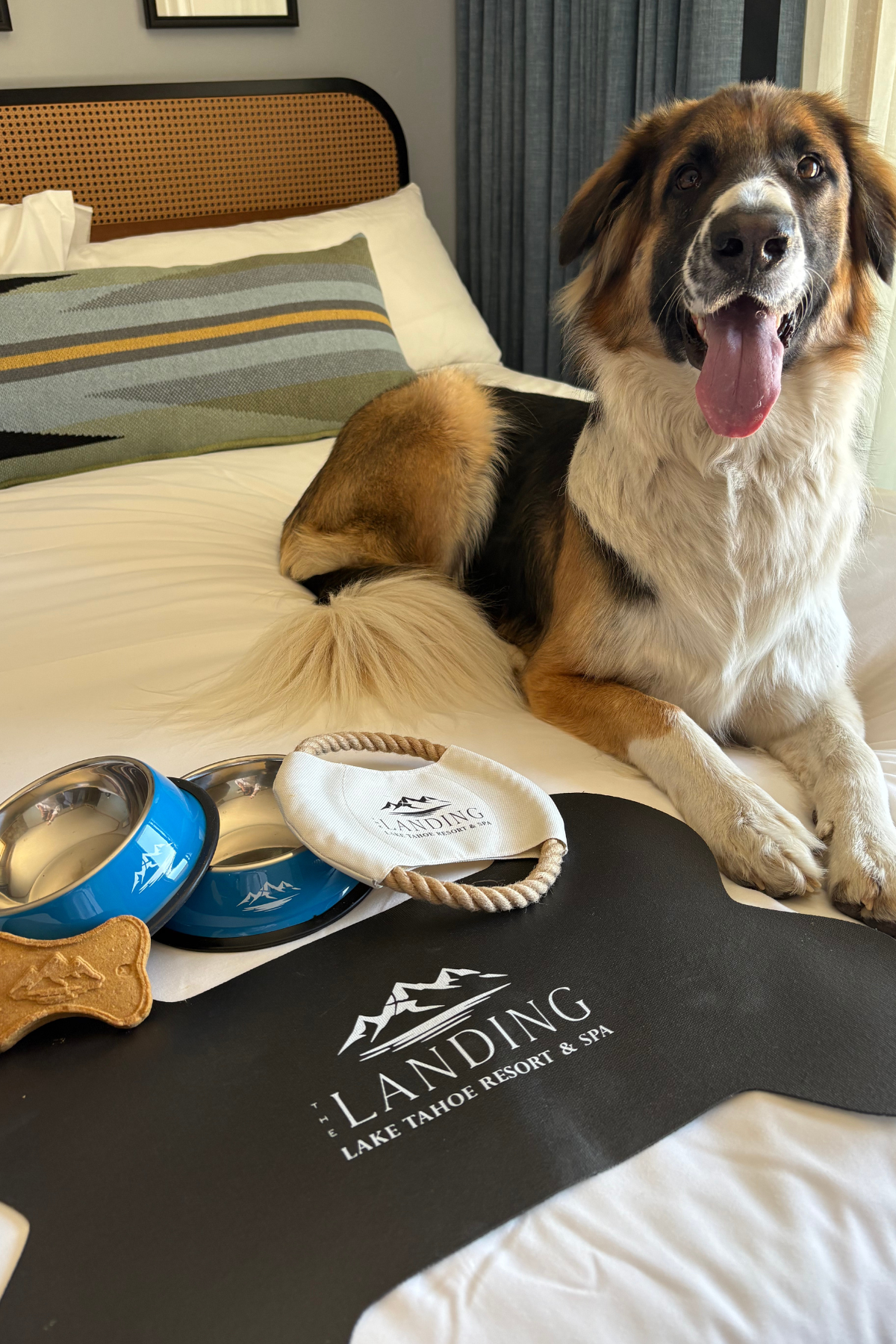 The Landing Tahoe Resort & Spa — photo 49 of 60