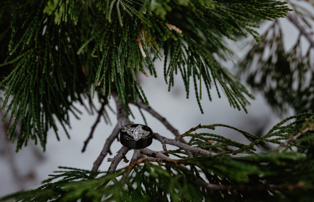 Winter Wedding Rings