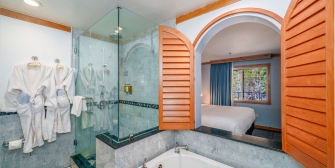 Premier King_Queen & Premier Partial Lakeview Bath_Shower